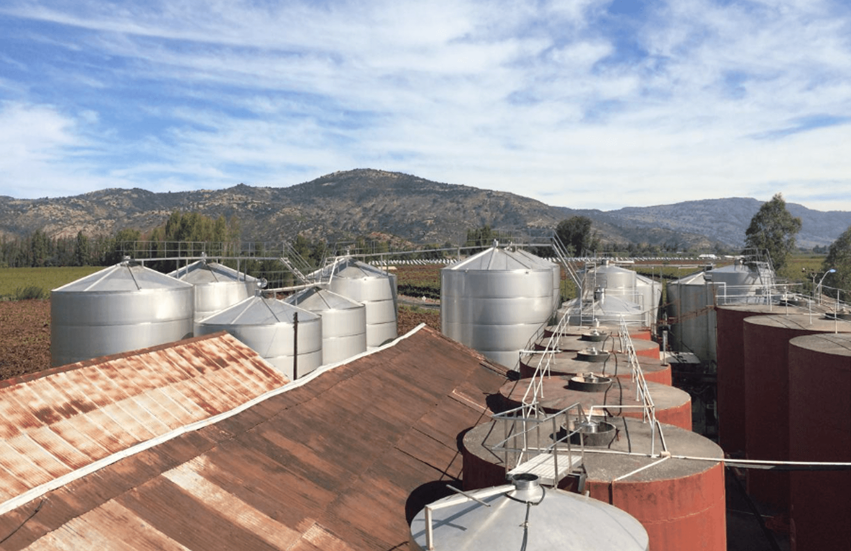 Correa Albano ワイナリー